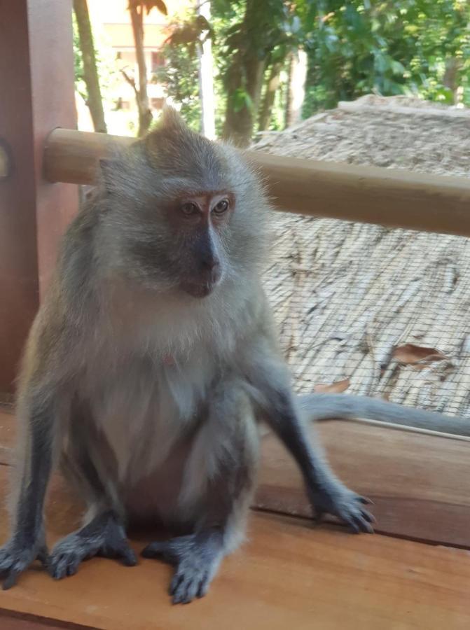 Kalulushi Bungalows Ko Pha Ngan Dış mekan fotoğraf