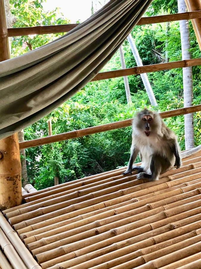 Kalulushi Bungalows Ko Pha Ngan Dış mekan fotoğraf
